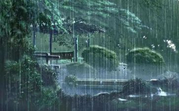 关于雨的读后感600字最新6篇