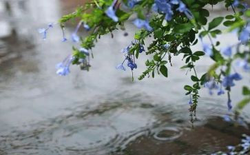 下雨时的作文300字7篇