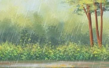 小雨和鱼教案7篇