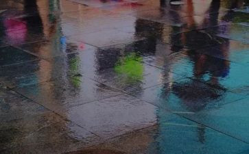 雨中的书读后感最新8篇