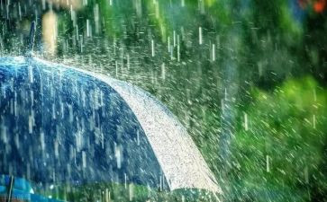 作文在雨中400字8篇