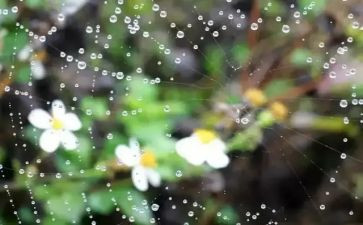 观雨观后感推荐5篇