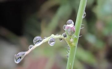 雨来故事心得体会5篇
