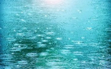 观雨观后感通用6篇
