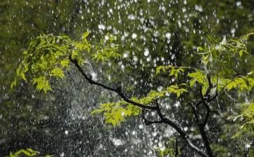 《雨来》读后感精选8篇