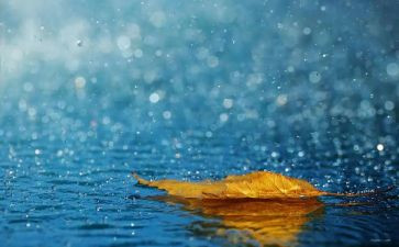 雨宝宝小班教案优秀8篇