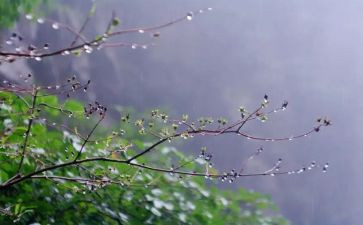 雨宝宝小班教案优质5篇