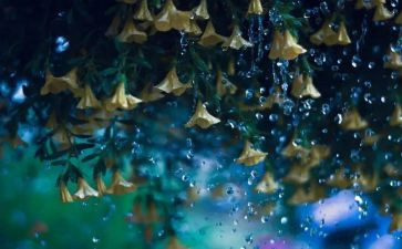 雨中的背影作文400字5篇
