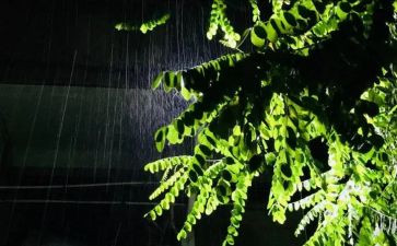 小雨小雨音乐教案参考8篇