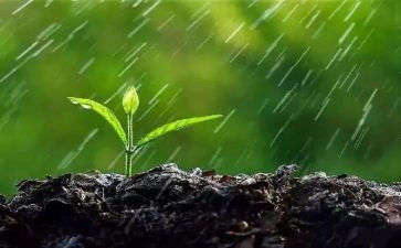 雨中优秀作文6篇