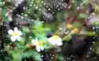 我是雨的作文400字优秀5篇