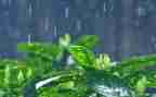 雨中的故事优秀作文7篇