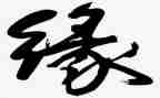 生命缘读后感300字5篇