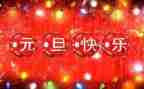 幼儿园元旦活动方案策划优秀5篇