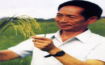 袁隆平的故事作文5篇