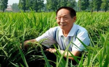 关于袁隆平的微作文通用8篇