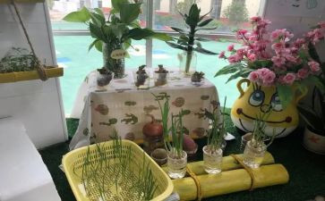 幼儿园培训培心得体会7篇