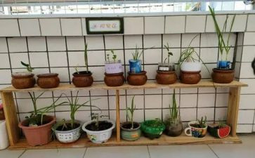 入校园培训心得体会范文7篇