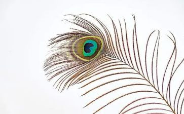 羽毛球协会2024年工作总结5篇