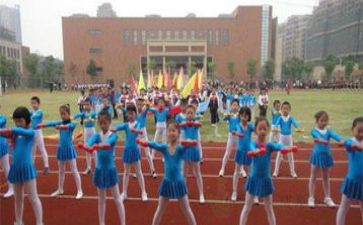 奥运会观后感2024500字5篇