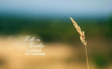 再见母校演讲稿8篇