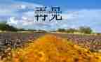 再见2024迎接2024的作文5篇