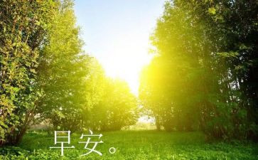 2024年早教老师工作总结6篇