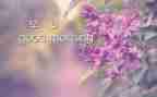 写校园早晨的作文8篇