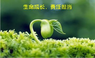 发展责任心得体会8篇