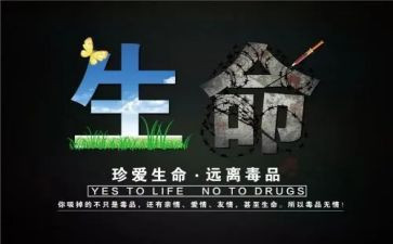 张子权事迹心得体会优质5篇