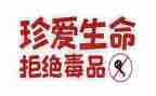 张子权事迹心得体会最新7篇