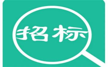 招标组年度总结8篇