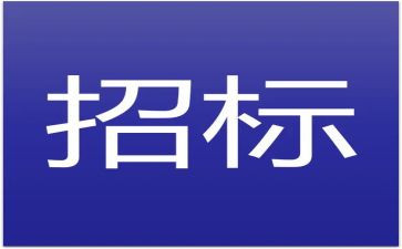 招标代理个人年终总结8篇