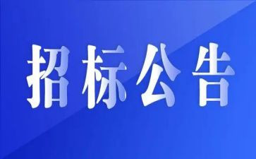 干招标工作的个人总结6篇