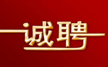 招聘工作计划计划参考8篇