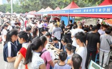 招生就业科工作计划8篇