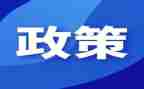 学生双减政策心得体会5篇