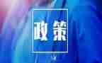 双减政策工作总结7篇