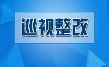 乡医整改报告优秀5篇