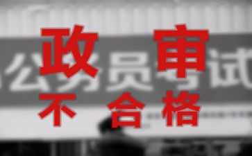 政审报告个人总结5篇
