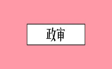 事业编政审的个人总结6篇