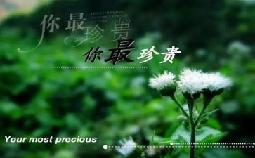 亲情最珍贵作文600字7篇