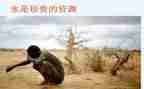 一份珍贵礼物作文8篇