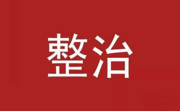 整治两为心得体会6篇