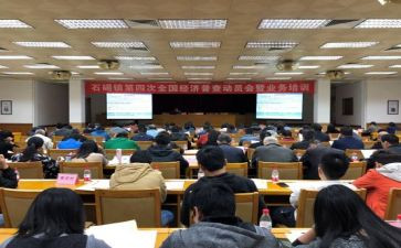 镇统计办工作计划参考6篇