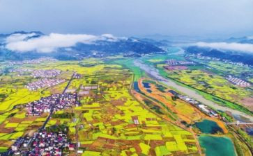 2024年实施乡村振兴工作总结8篇