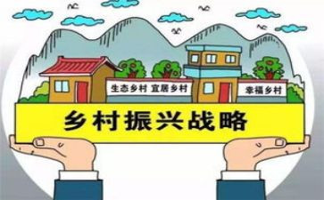 局乡村振兴工作总结精选5篇