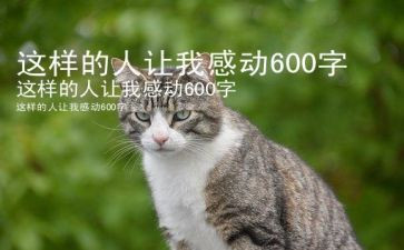 这样的人让我作文700字5篇