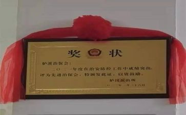 治保主任个人总结6篇