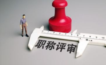 职称工作总结个人总结6篇